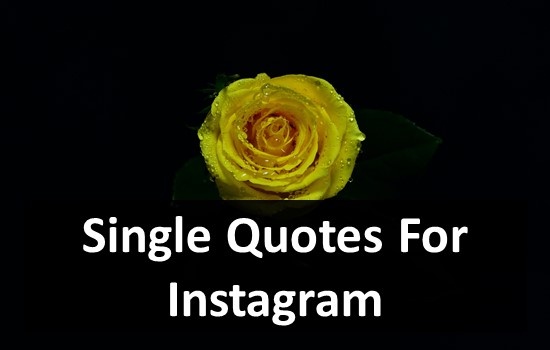 Single Quotes For Instagram